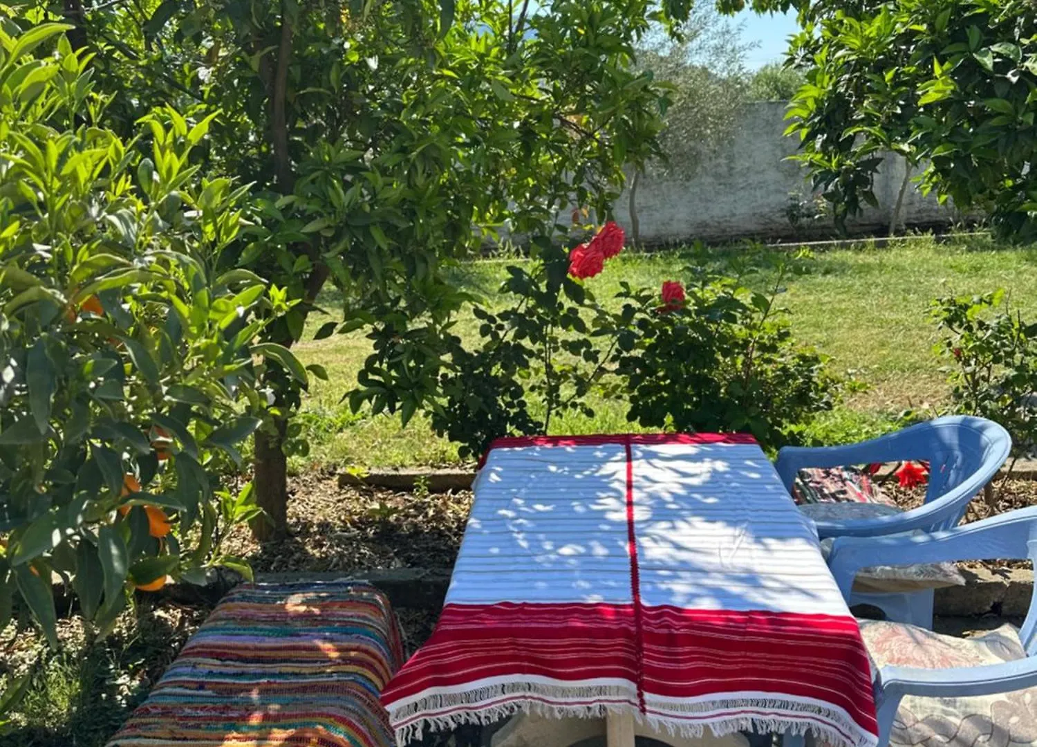Apartment Vila Zefi Shkodra